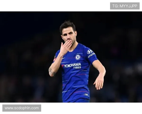 法布雷加斯透露与多队谈判中 未来去向即将官宣